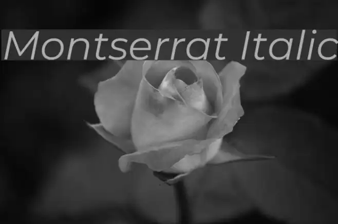 Montserrat Italic Example 2