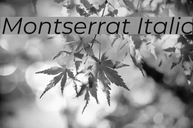 Montserrat Italic Example 3