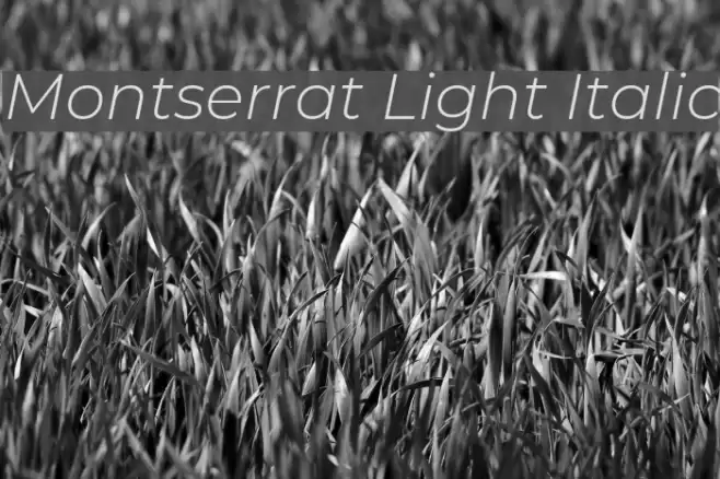 Montserrat Light Italic Font examples
