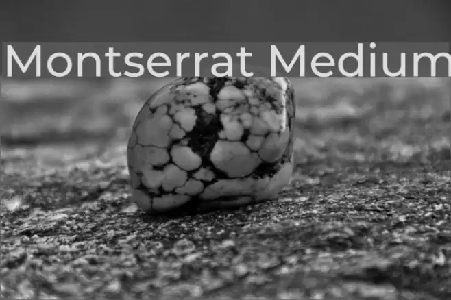 Montserrat Medium Font examples