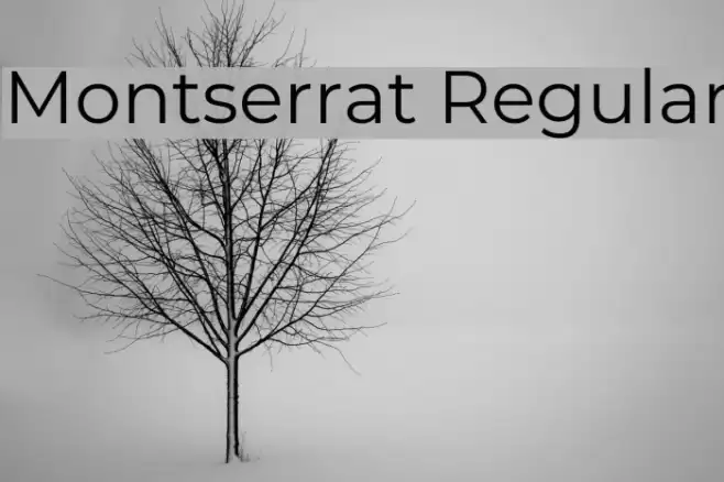 Montserrat Regular Schriftart examples