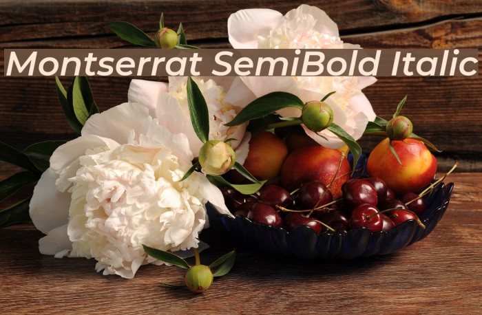 Montserrat SemiBold Italic Font examples