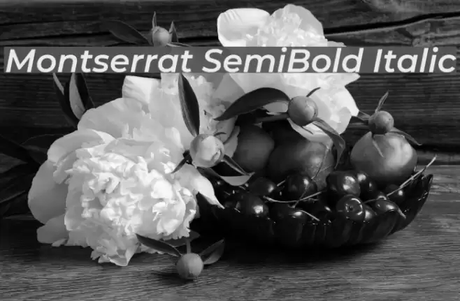 Montserrat SemiBold Italic examples