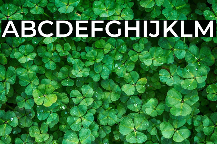 Montserrat SemiBold Example 2