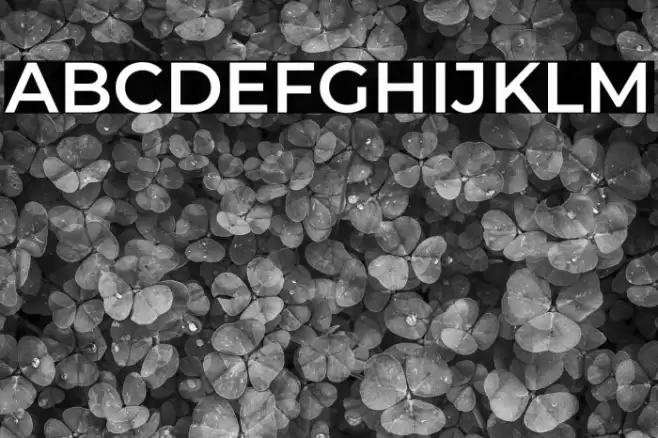 Montserrat SemiBold Font examples