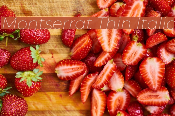 Montserrat Thin Italic Font examples