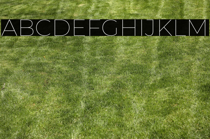 Montserrat Thin Example 2