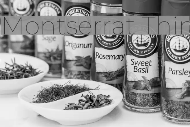 Montserrat Thin Font examples