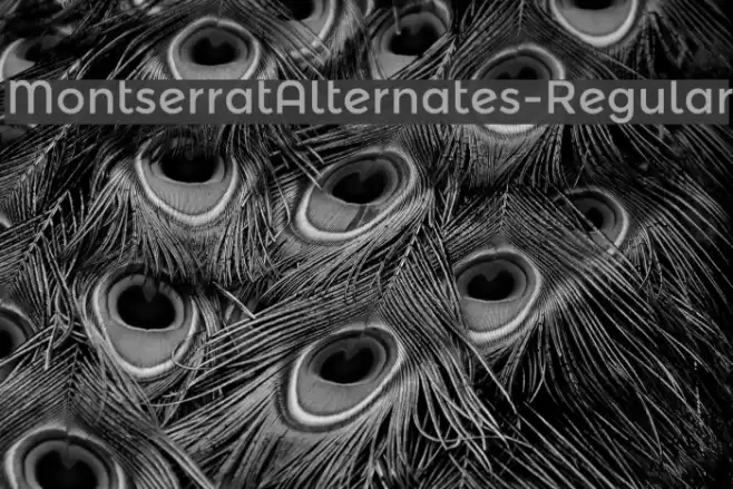 MontserratAlternates-Regular Font examples
