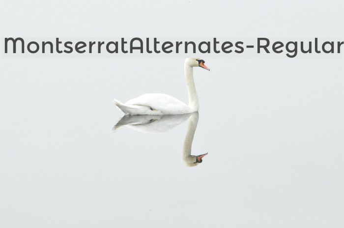 MontserratAlternates-Regular Font examples