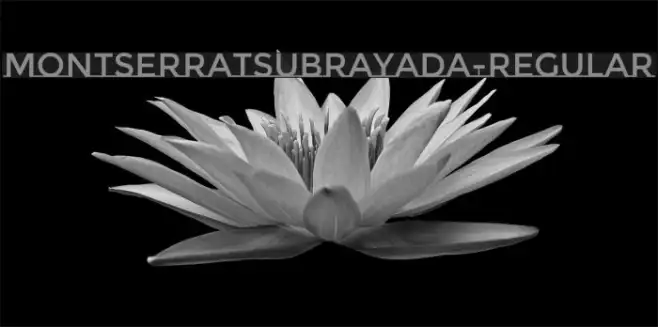 MontserratSubrayada-Regular Example 3