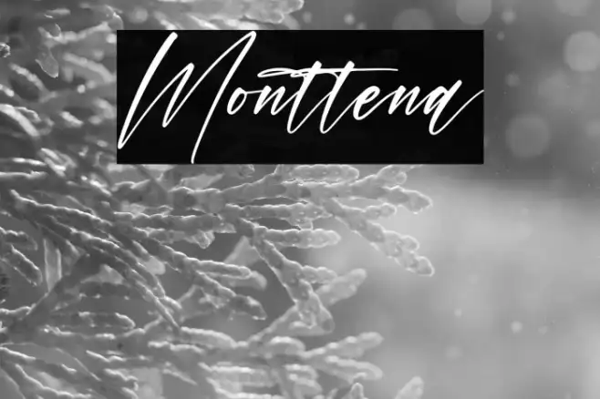 Monttena Example 1