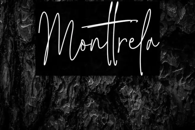 Monttrela Example 1