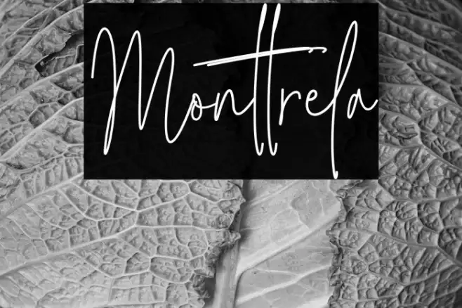 Monttrela Example 2