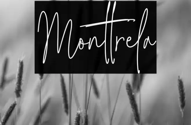 Monttrela Example 3