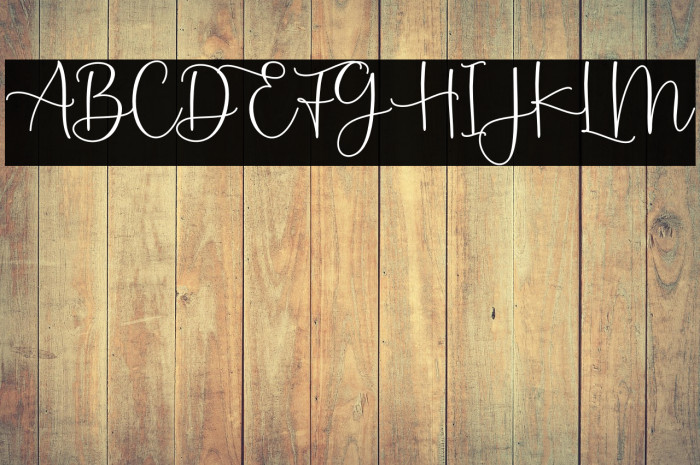 Montysse Demo Example 2