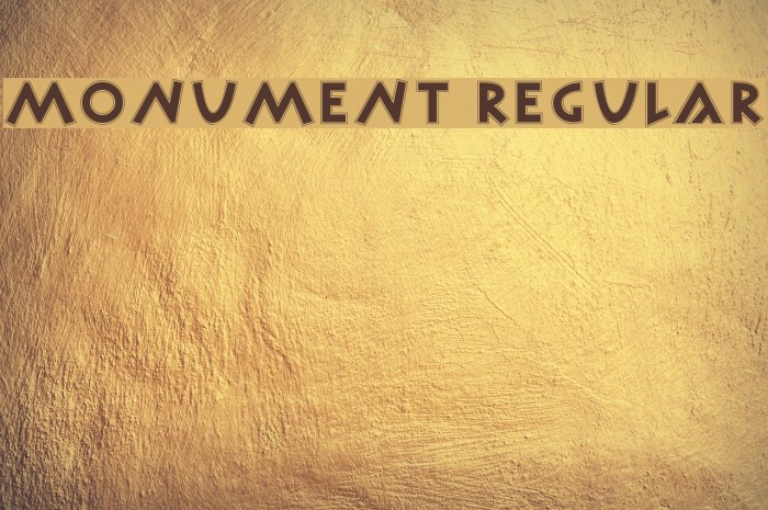 Monument Regular Font examples