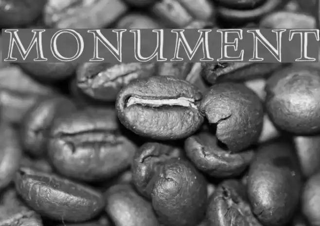 Monument Font examples