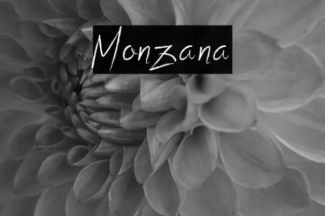 Monzana Example 3