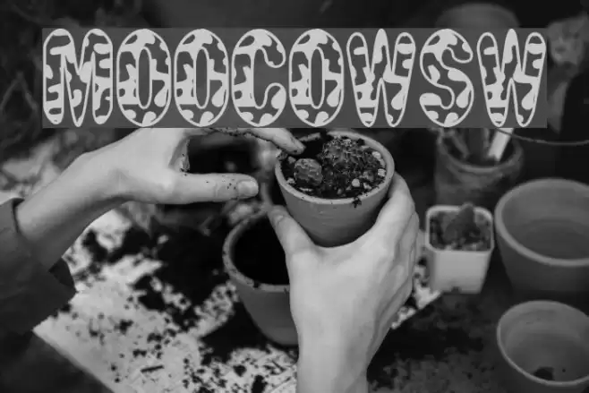 MooCowSW फ़ॉन्ट examples