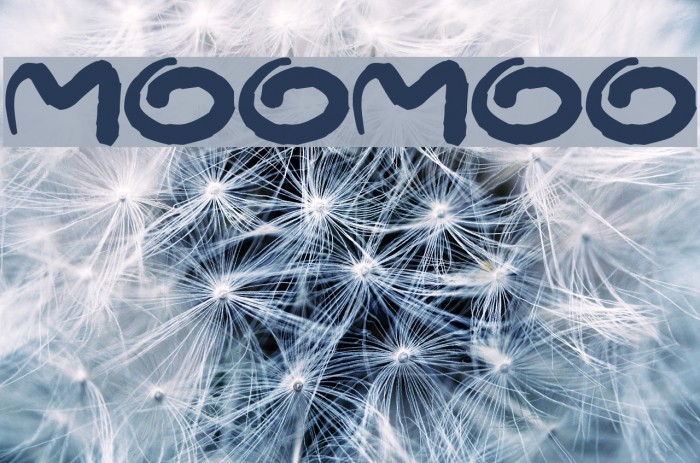 MooMoo Font examples
