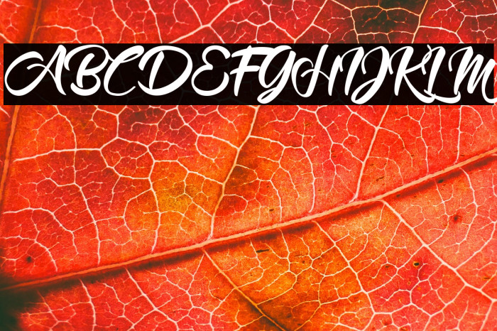 Mood Booster Demo Example 2