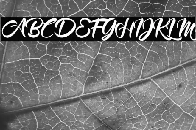 Mood Booster Demo Font examples