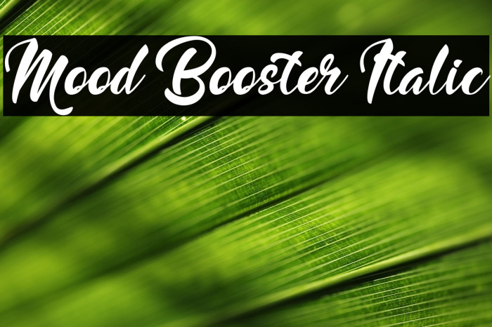 Mood Booster Italic Example 1