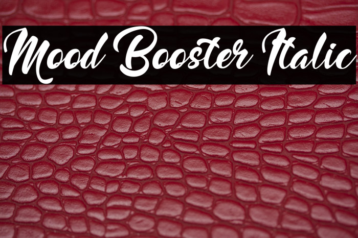 Mood Booster Italic Example 2