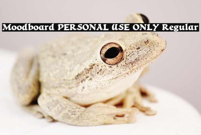 Moodboard PERSONAL USE ONLY Regular Example 2