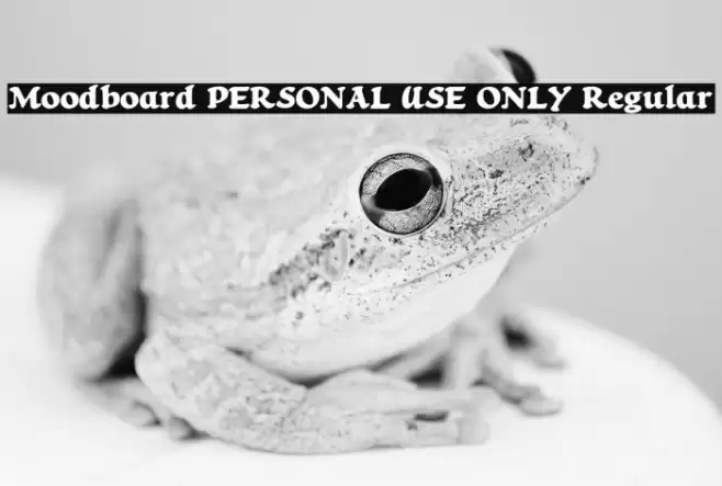 Moodboard PERSONAL USE ONLY Regular Font examples