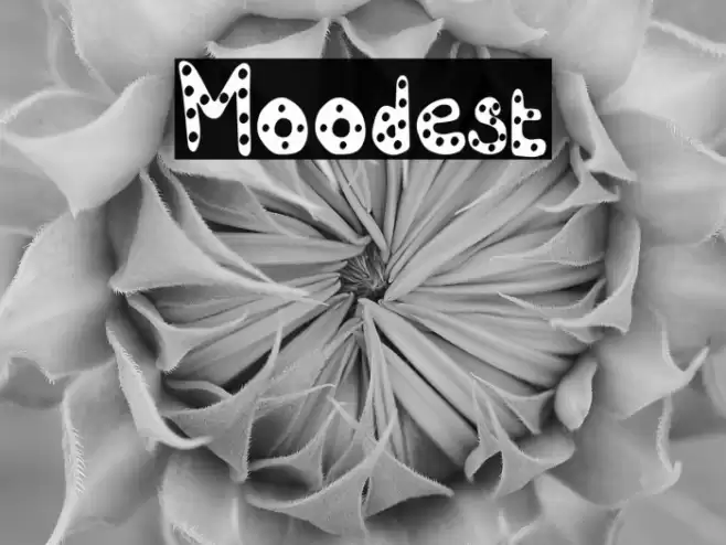 Moodest Caratteri examples