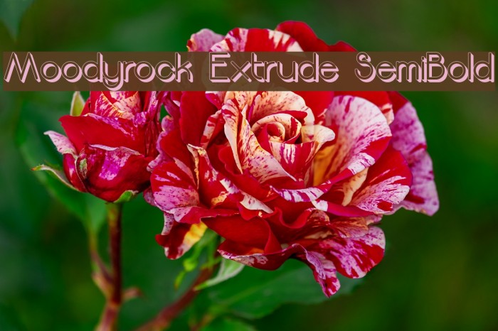 Moodyrock Extrude SemiBold Font examples
