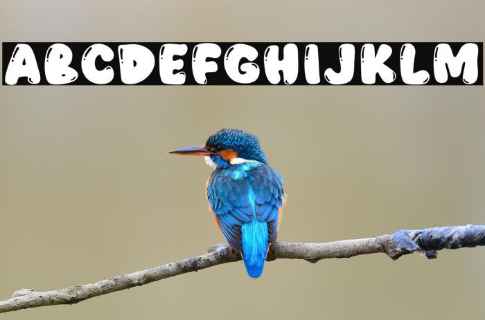 Moofu Burst Example 2