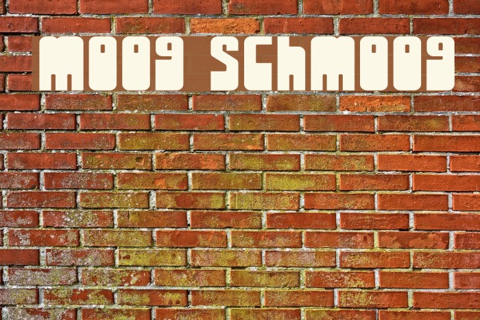 Moog Schmoog Font examples