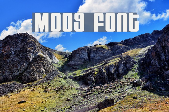 Moog Font examples
