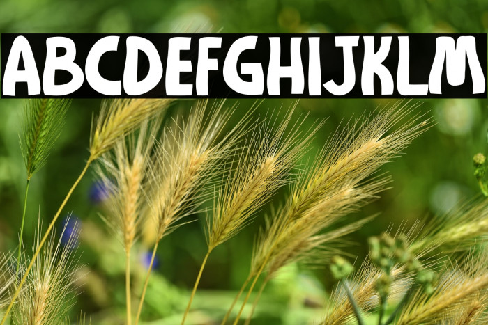 Moogie Disco Example 2