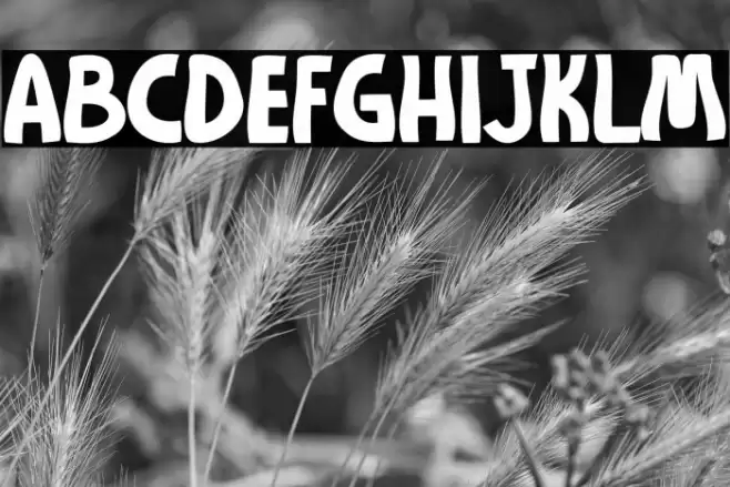 Moogie Disco Font examples