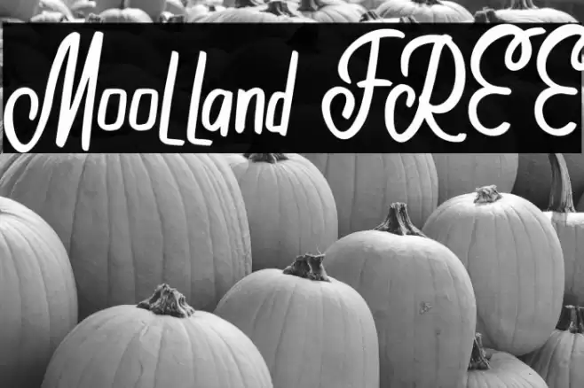 Moolland FREE Font examples