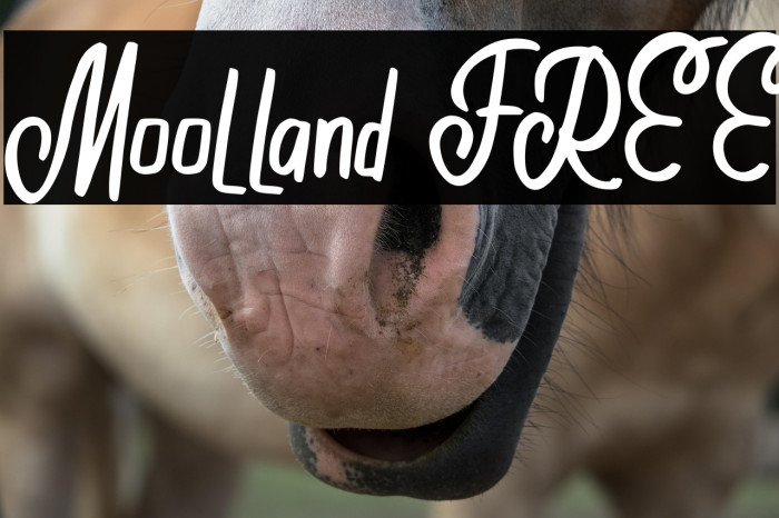 Moolland FREE Example 3