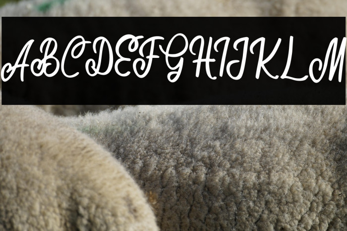 MoollandFREE Example 1