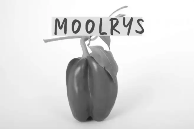Moolrys Example 2