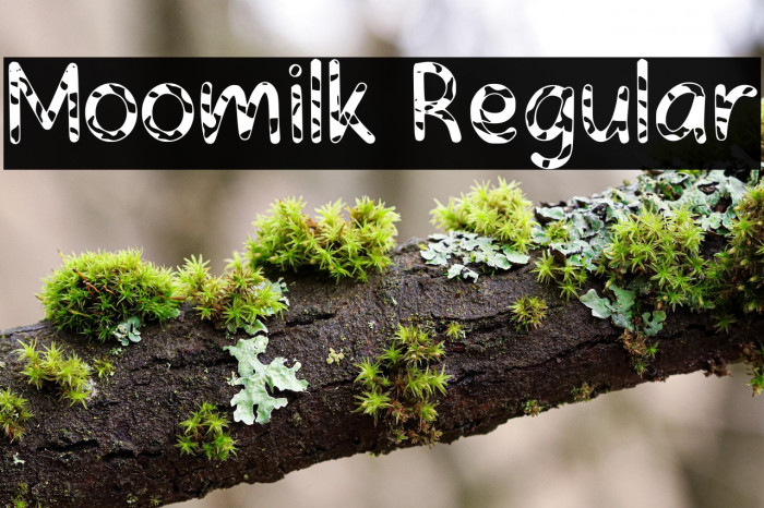 Moomilk Regular Example 1