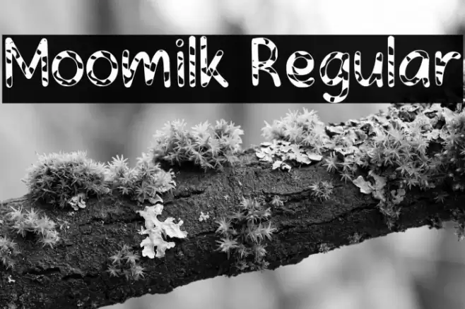 Moomilk Regular フォント examples
