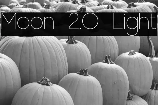 Moon 2.0 Light Font examples