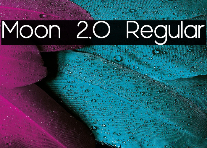 Moon 2.0 Regular Example 1