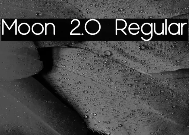 Moon 2.0 Regular Example 1