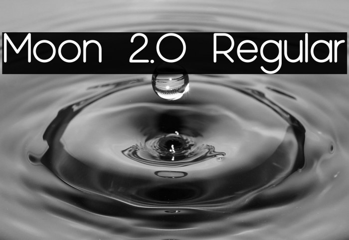 Moon 2.0 Regular Example 2