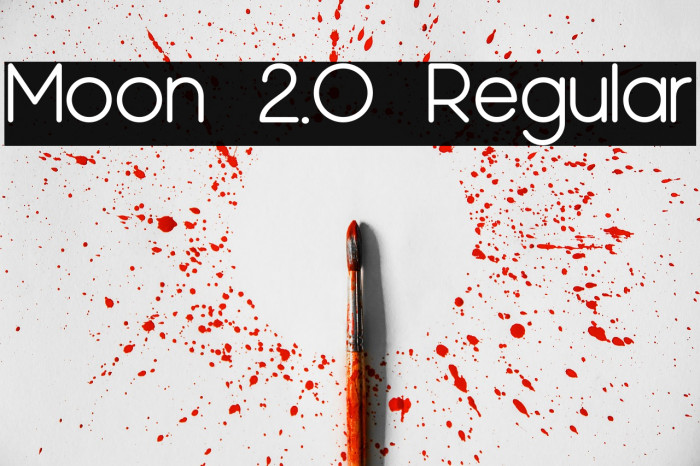Moon 2.0 Regular Example 3