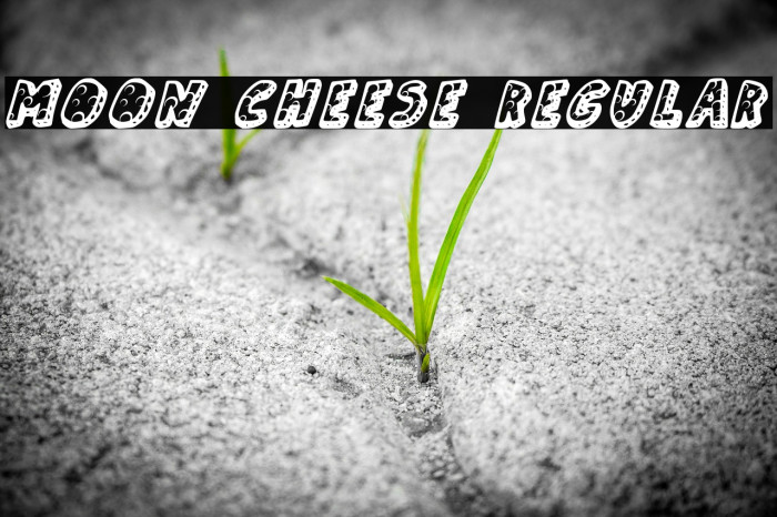 Moon Cheese Regular Font examples